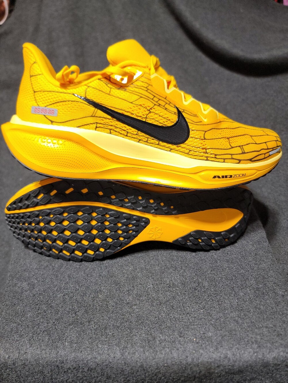 Nike Air Zoom Pegasus 41 LV8 "Modern Mayfly Pack" running shoes